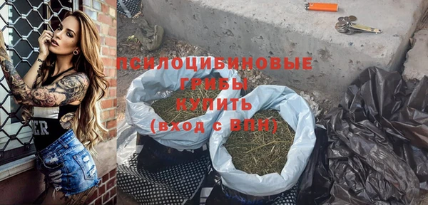 гашик Приозерск