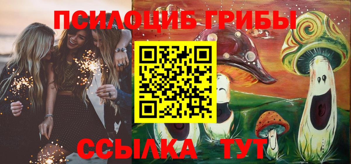 Галлюциногенные грибы Cubensis Таганрог